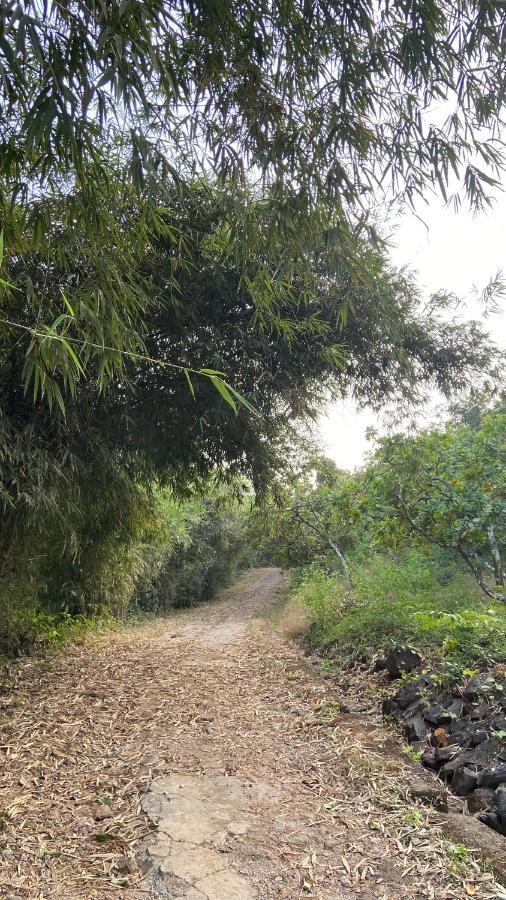 Lermitage Farms Kashid Alibaug Villa Exterior foto
